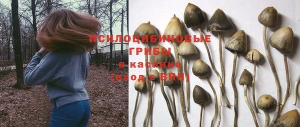 ГАЛЛЮЦИНОГЕННЫЕ ГРИБЫ Зеленокумск